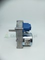 fer. motor.jpg